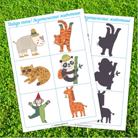 Найди тень. Экзотические животные - Mama-print (20_0.png